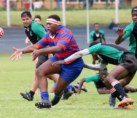 South Side Irish Rugby France vs New Zealand, Rugby