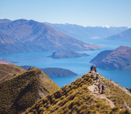New Zealand Rugby Union, League New Zealand Rugby Union, League