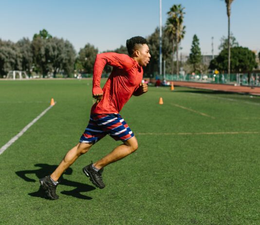 New Zealand Rugby stats New Zealand Rugby stats