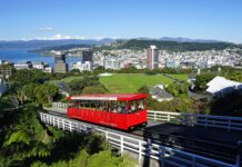 New Zealand national Rugby League team New Zealand national Rugby League team