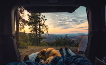 How to Make Camping in the Car More Comfortable sunrise while car camping