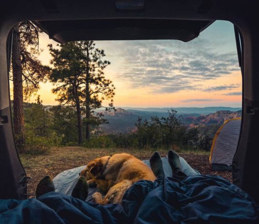 How to Make Camping in the Car More Comfortable sunrise while car camping